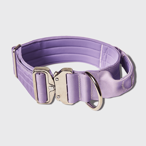 Tactical Dog Collar - Lilac (2"/5cm)