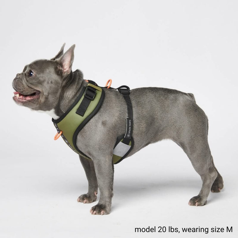 Ultra-Soft Activewear Harness Set - Green