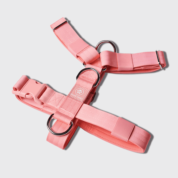 Comfort Control No-Pull Dog Harness - Pink