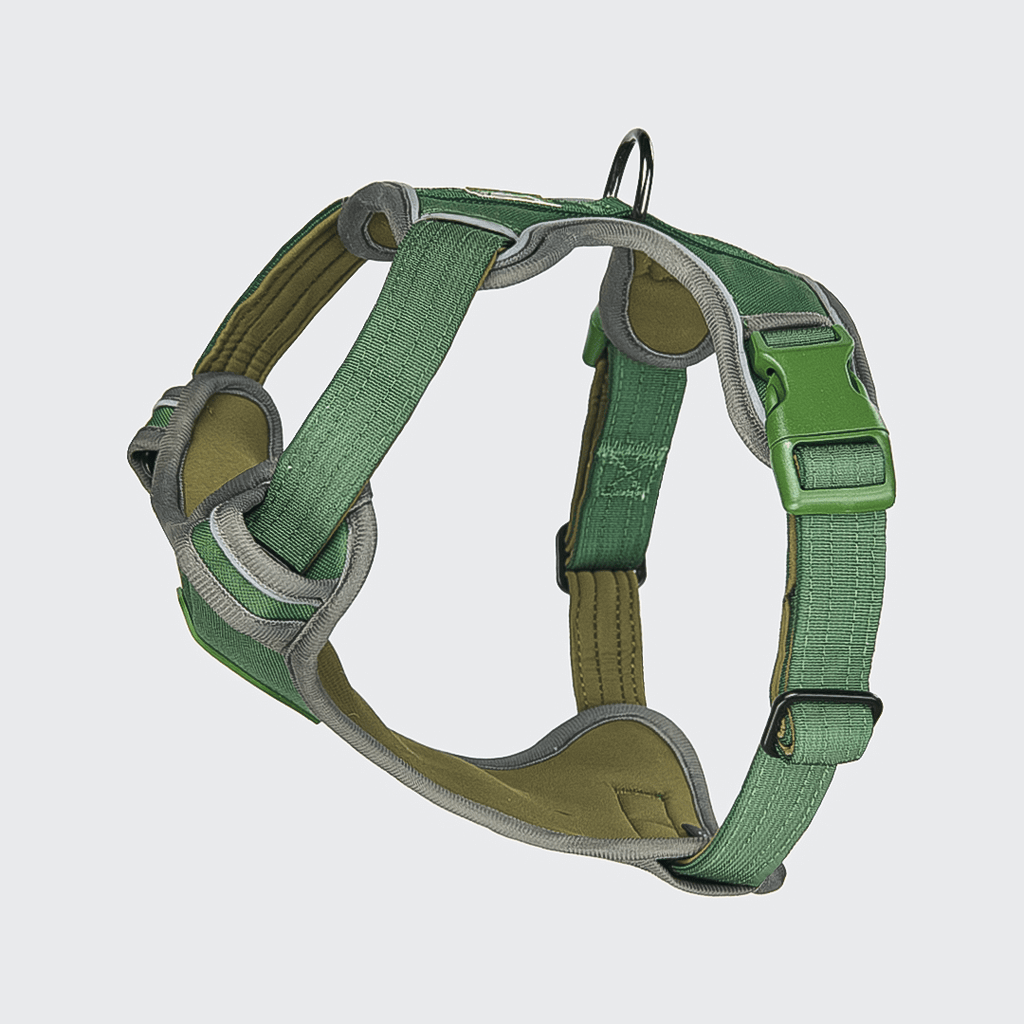 Comfort Control Harness Green SIZE S dogs up to 20kg 45lb