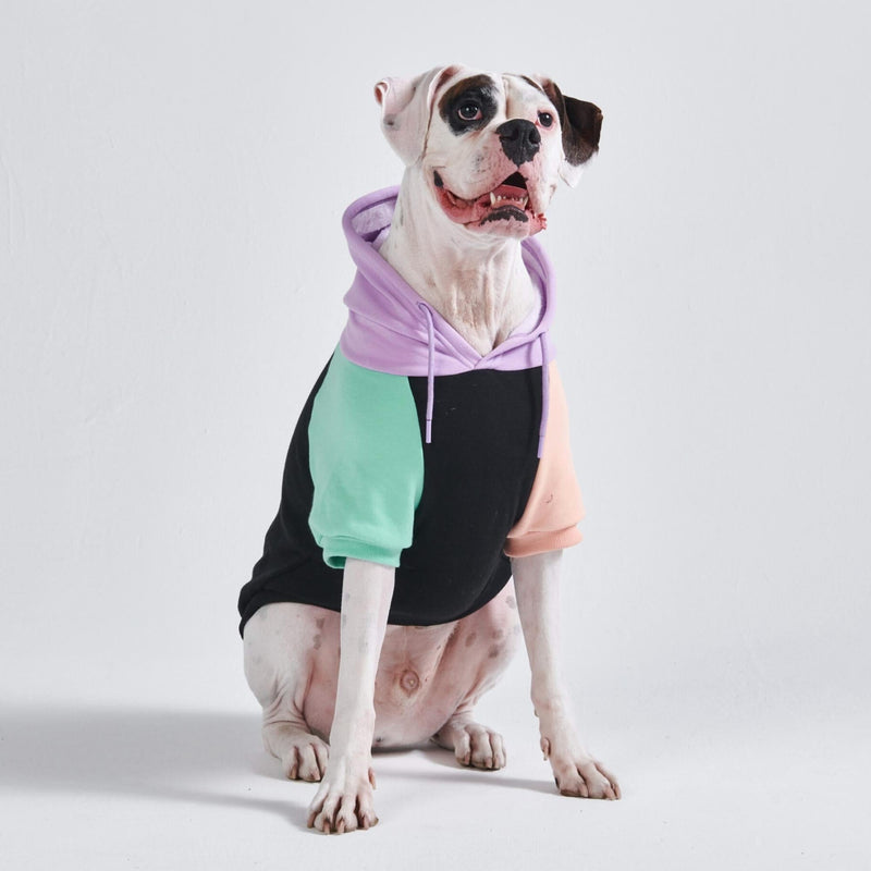 Cyber Punk Dog Hoodie