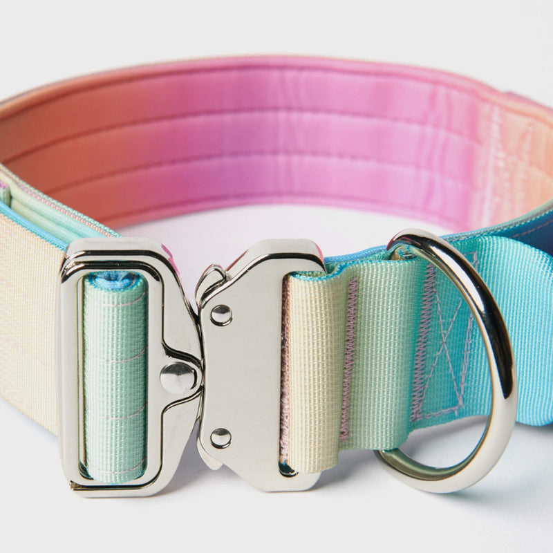 Comfort Control Collar Set - Pastel Icing