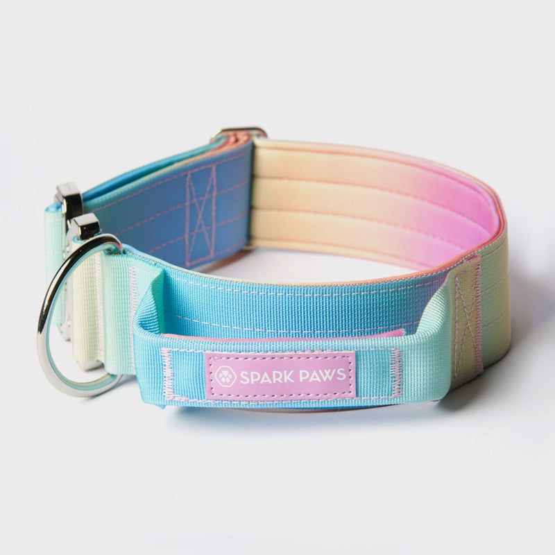 Comfort Control Collar Set - Pastel Icing