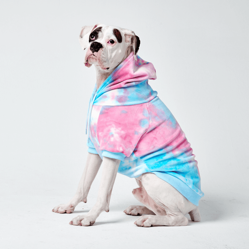 Dog hoodies 2024 for french bulldogs