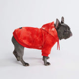 Velvet Dog Hoodie - Ruby Red