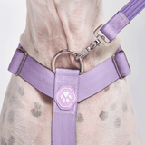 Comfort Control No-Pull Dog Harness - Lilac