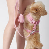 Waterproof PVC Dog Leash - Pink