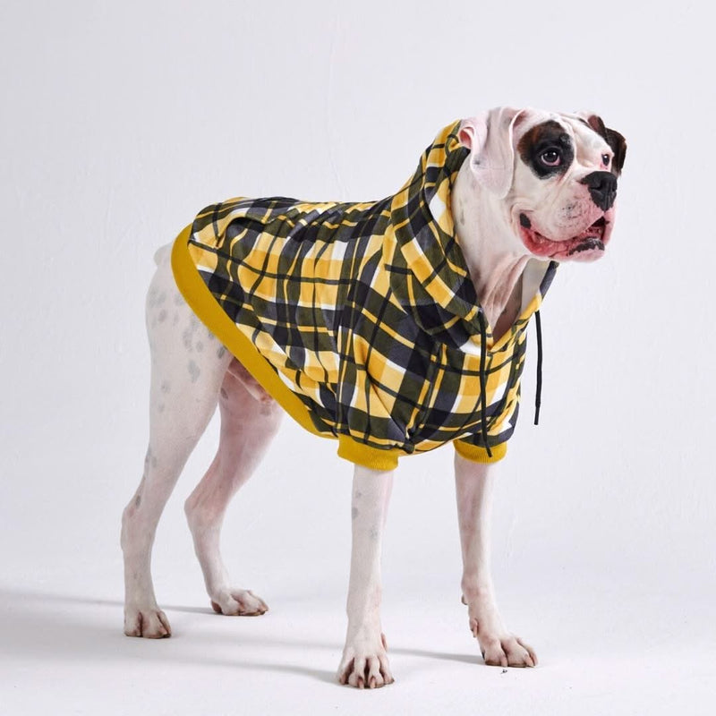 Yellow Plaid Dog Hoodie