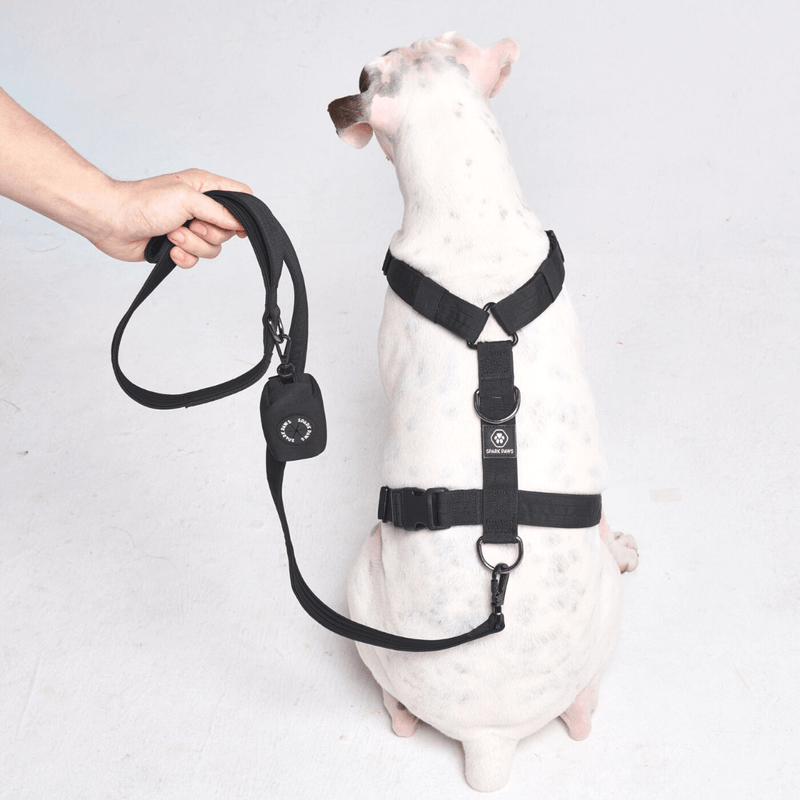 Comfort Control No-Pull Dog Harness Set - Black