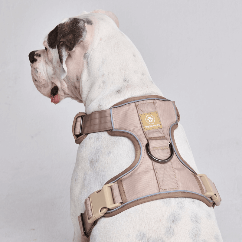 Comfort Control Harness - Tan- [SIZE S] dogs up to 20kg/45lb