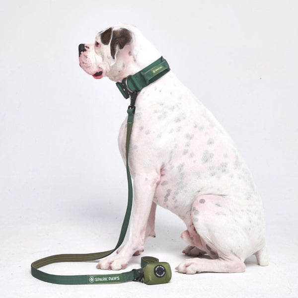 Tactical Dog Collar Set - Army Green (2"/5cm)