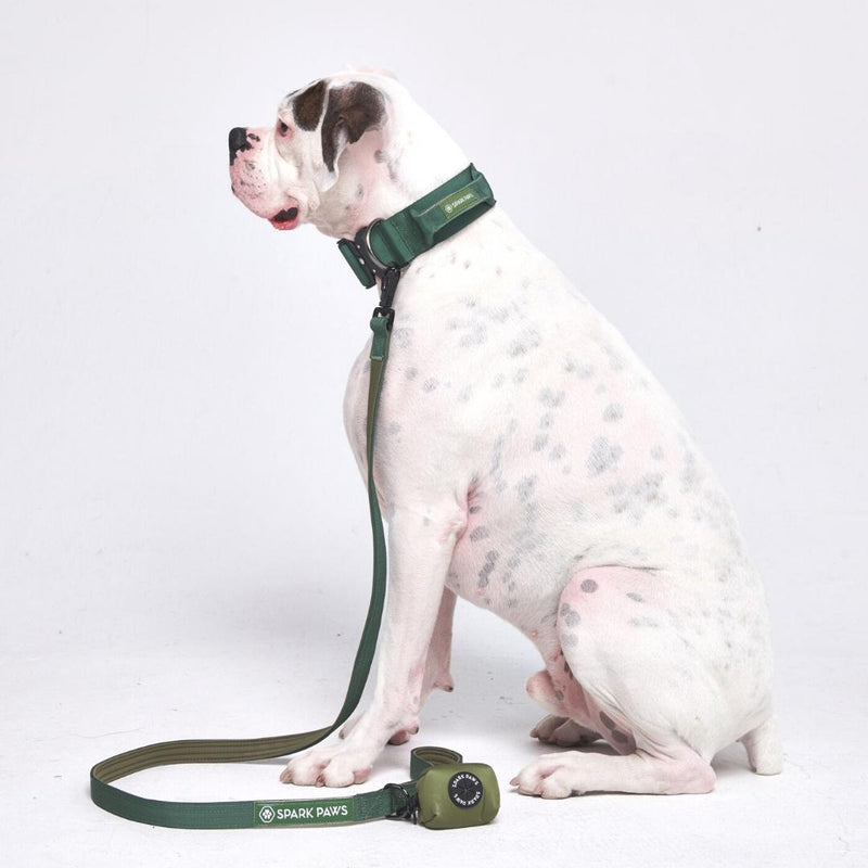 Tactical Dog Collar Set - Army Green (2"/5cm)