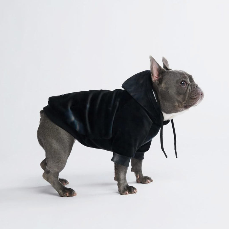 Velvet Dog Hoodie - Obsidian Black