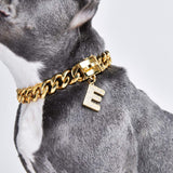 Gold initial letter pendant jewelry tag for dogs, pet ID tag for small and big dogs, bling for dogs, charms for dogs