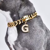 Gold initial letter pendant jewelry tag for dogs, pet ID tag for small and big dogs, bling for dogs, charms for dogs