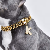 Gold initial letter pendant jewelry tag for dogs, pet ID tag for small and big dogs, bling for dogs, charms for dogs