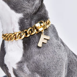 Gold initial letter pendant jewelry tag for dogs, pet ID tag for small and big dogs, bling for dogs, charms for dogs