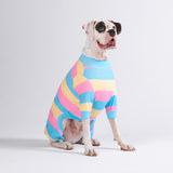 Dog Pajama - Yellow Blue Pink