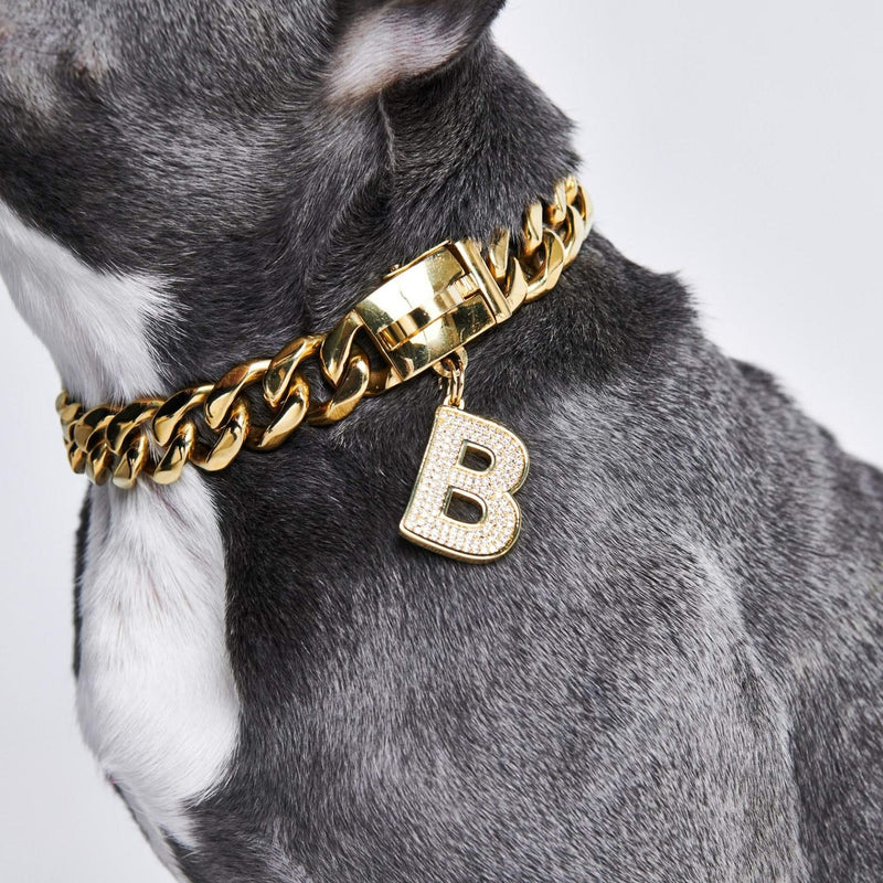 Gold Initial Letter Jewelry Tag for Dogs - R – SPARK PAWS