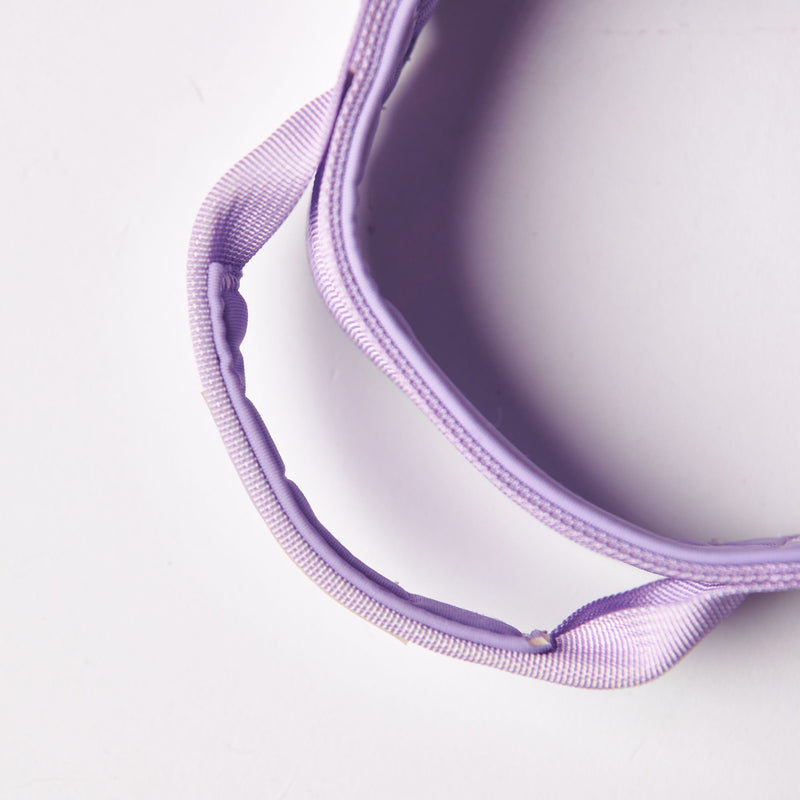 Comfort Control Collar Set - Lilac