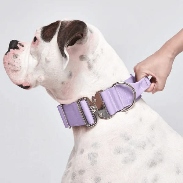 Tactical Dog Collars (2"/5cm)
