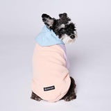 Cotton Candy Dog Hoodie