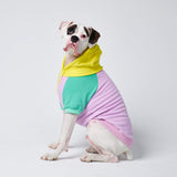 Purple Turquoise Yellow Dog Hoodie