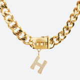 Initial Letter Jewelry Tag - H