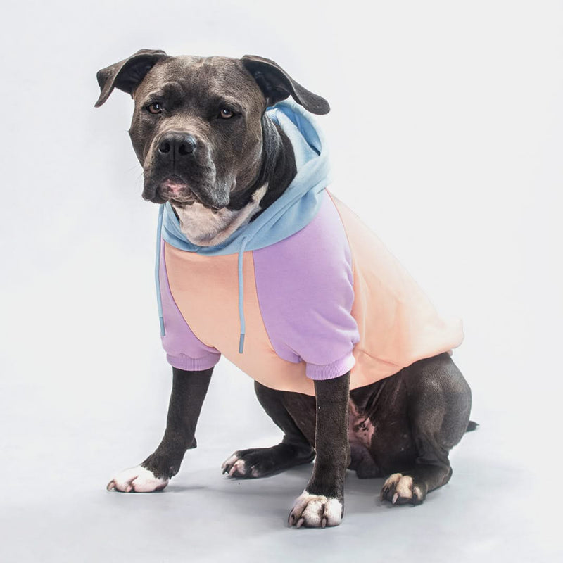 Cotton Candy Dog Hoodie