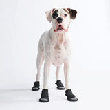All Weather Dog Shoes