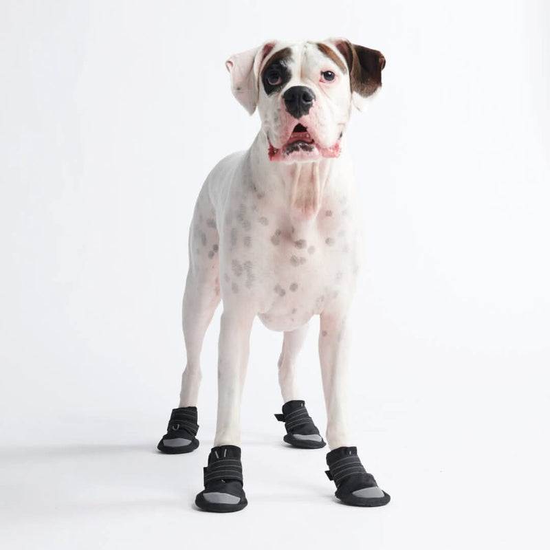 All Weather Dog Shoes