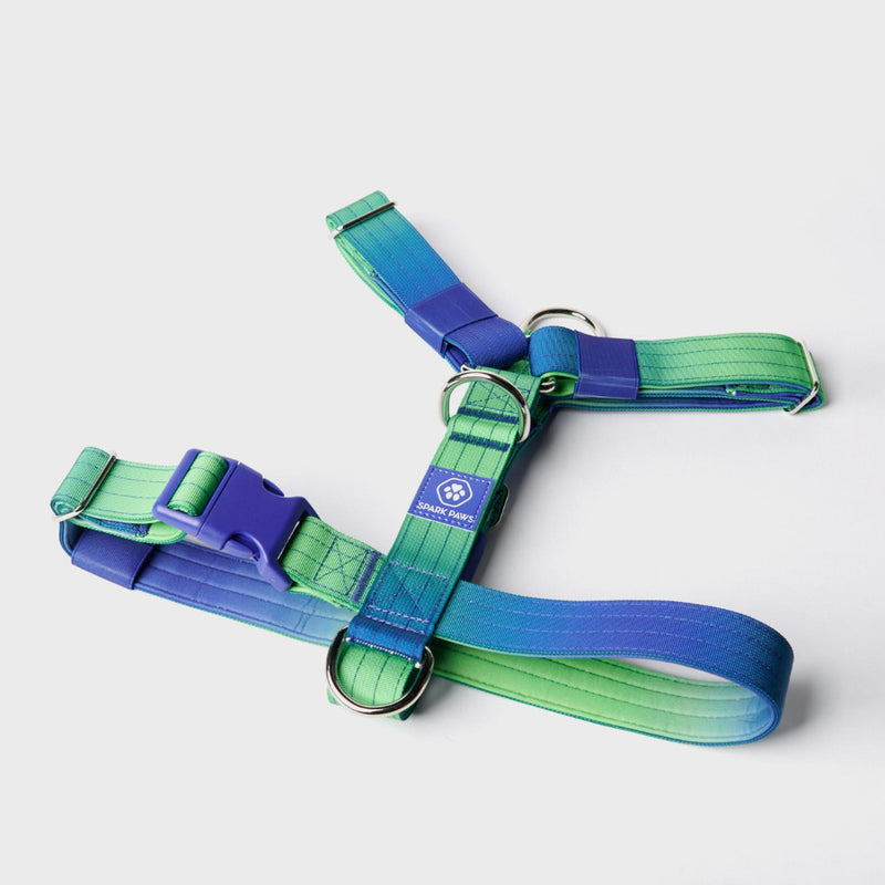 Comfort Control No-Pull Dog Harness Set - Lime Wave