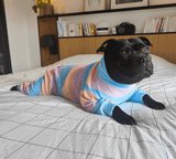 Dog Pajama - Cotton Candy