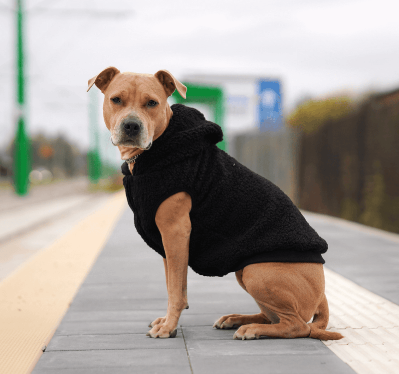 Tactical top dog sweater