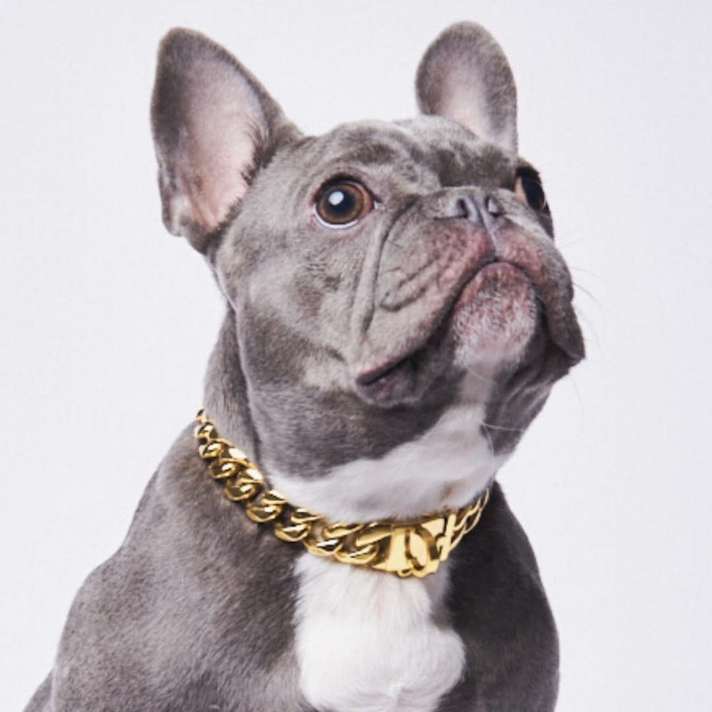 Dog Gold Chain Collar and Leash Set Luxury Cuban Link Heavy Duty