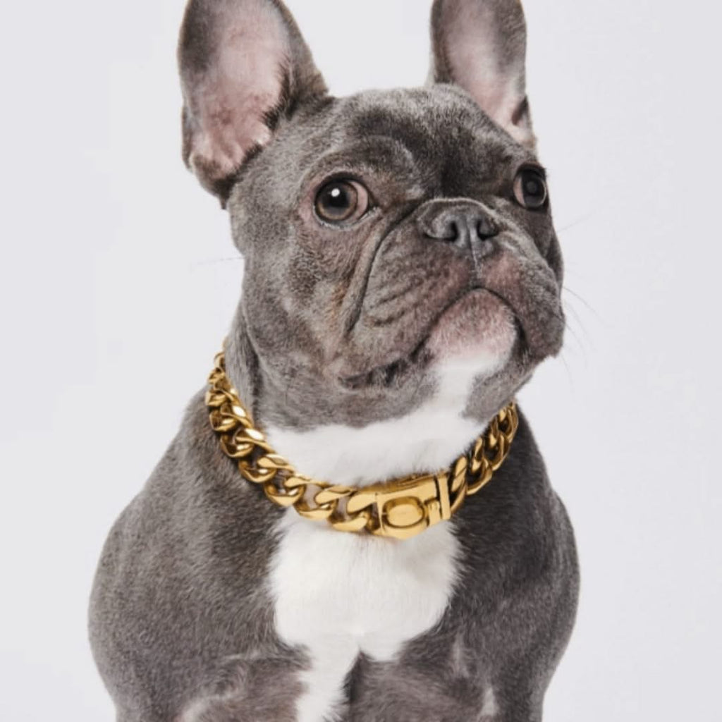 SILVER CUBAN LINK LUXURY DOG CHOKE CHAIN COLLAR – Swole Dogs