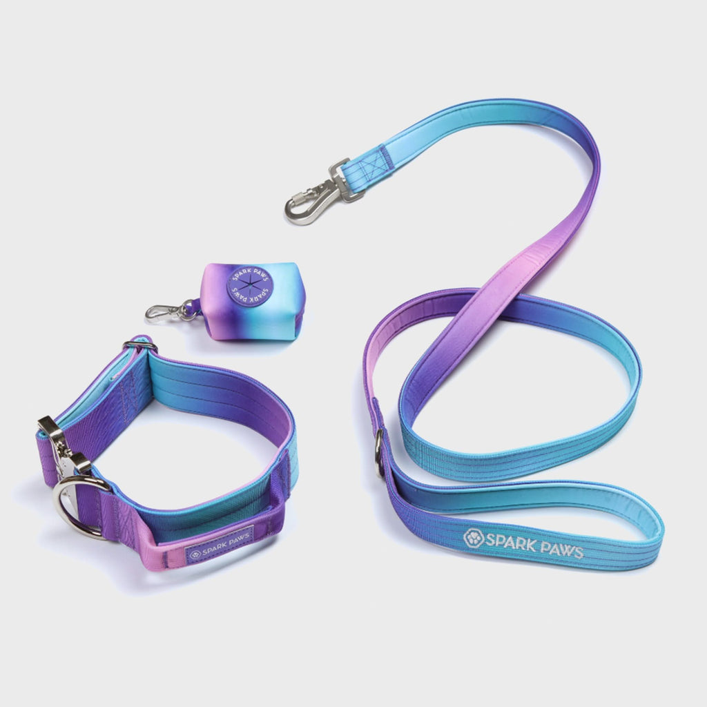 Tactical dog leash online and collar