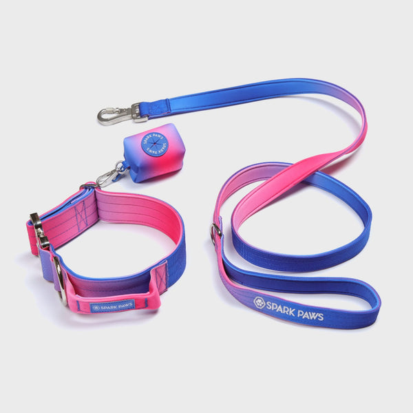 Comfort Control Collar Set - Snow Cone