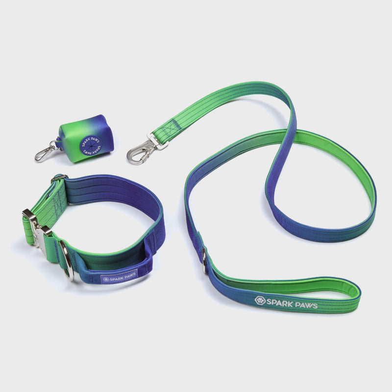 Comfort Control Dog Leash - Lime Wave