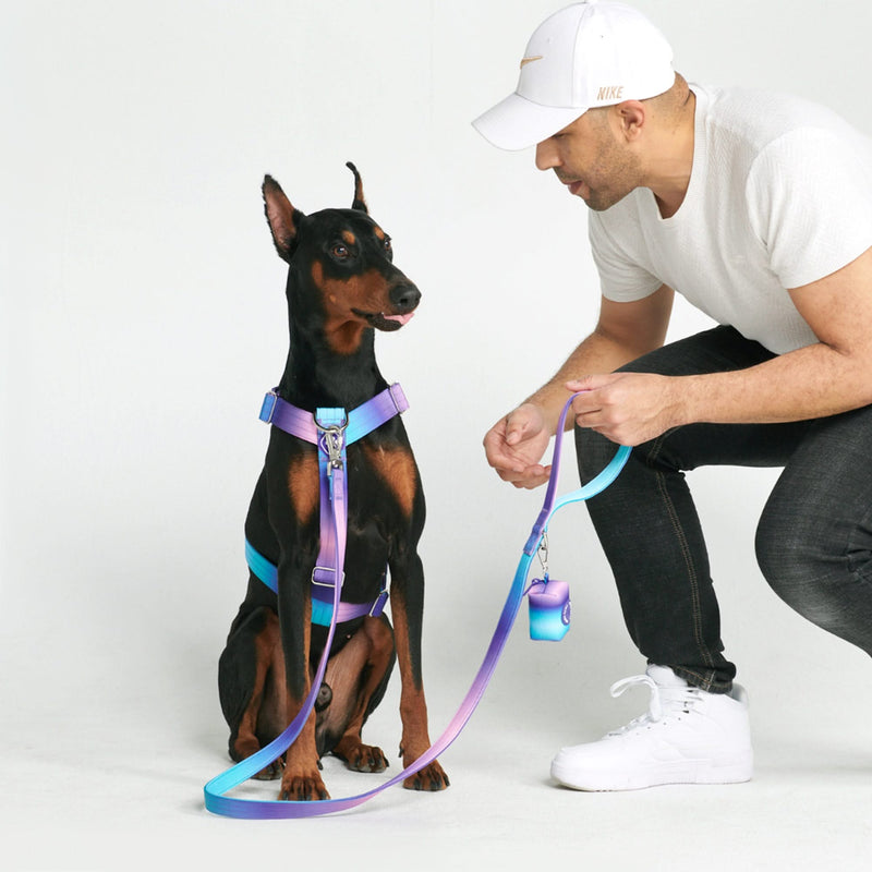 Wigzi dog harness top