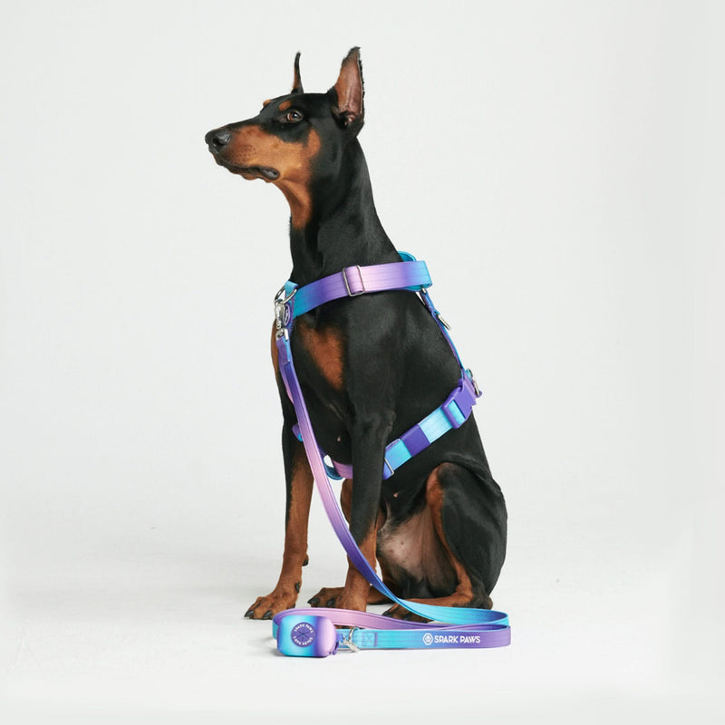 Comfort Control No-Pull Dog Harness - 90s Retro