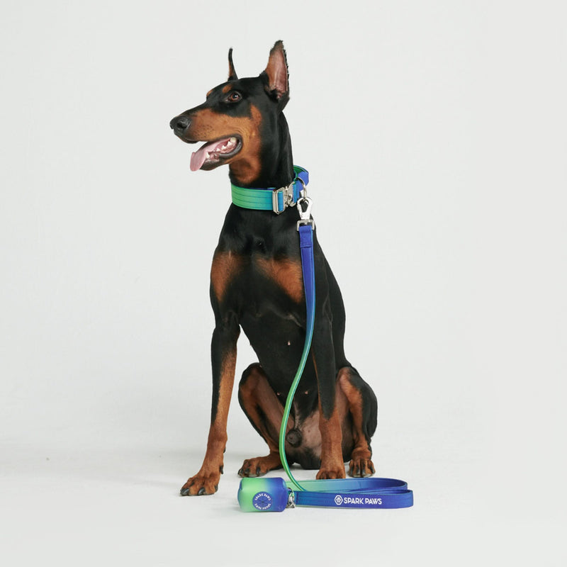 Tactical Dog Collar Set - Lime Wave (1.5"/4cm)