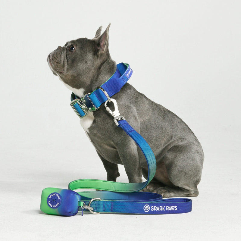 Comfort Control Dog Leash - Lime Wave