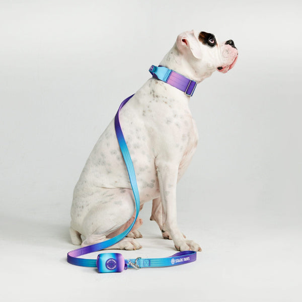 Tactical Dog Collar Set - 90s Retro (2"/5cm)