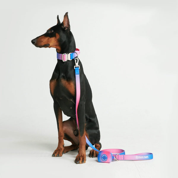 Tactical Dog Collar Set - Snow Cone (1.5"/4cm)