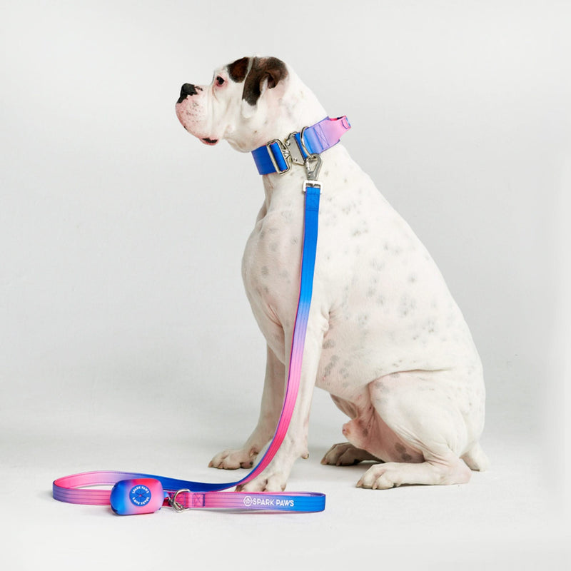 Comfort Control Dog Leash - Snow Cone