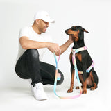 Comfort Control No-Pull Dog Harness - Pastel Icing