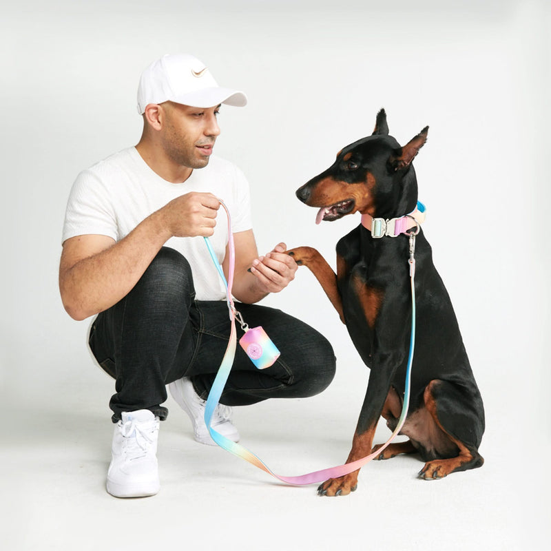 Comfort Control Dog Leash - Pastel Icing