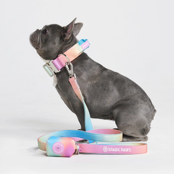 Comfort Control Dog Leash - Pastel Icing