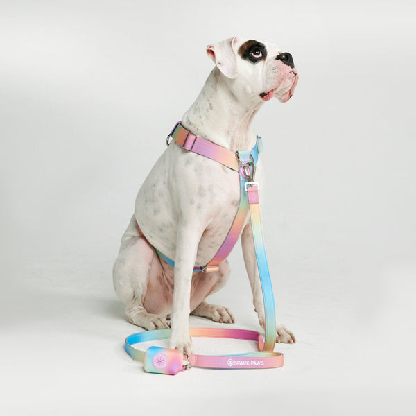 Comfort Control No-Pull Dog Harness Set - Pastel Icing